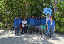 Empresa dominicana líder en recolección de sargazo en el mar consolida sus operaciones internacionales bajo Grupo BlueGea